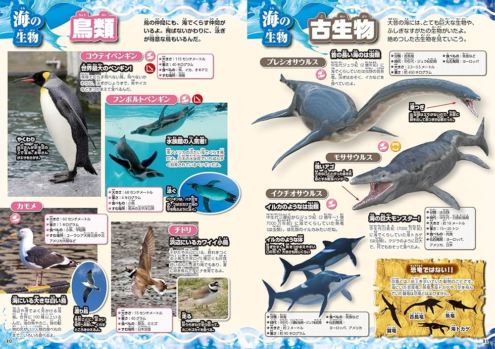 Amazon.co.jp: 水中生物大図鑑 (こども写真ひゃっか) : 新宅広二: 本