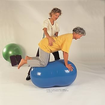 Amazon | ギムニク(GYMNIC) フィジオロール 85 赤 LP8804 イタリア製