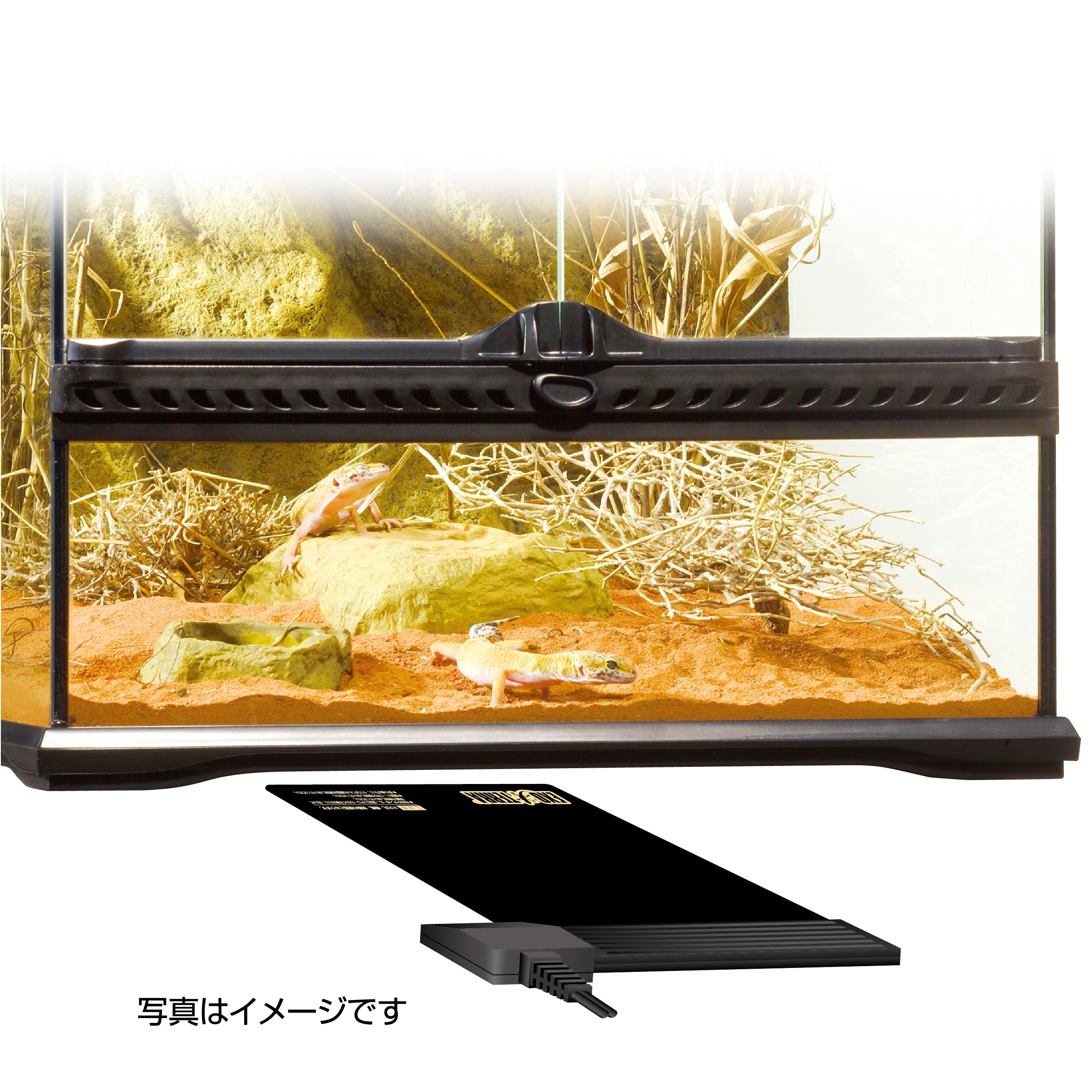 Amazon | GEX EXOTERRA レプタイルヒートXS 爬虫類用シートヒーター 6W
