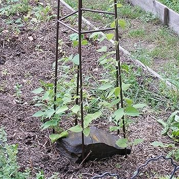 91nEkM-IFGL._AC_UF350,