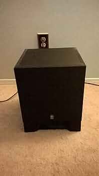 Amazon.co.jp: YAMAHA サブウーファー(1本) YST-SW010B : Electronics