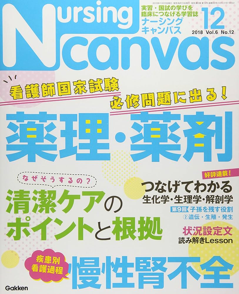 Nursing Canvas(ナーシングキャンバス) 2018年 12 月号 [雑誌] |本