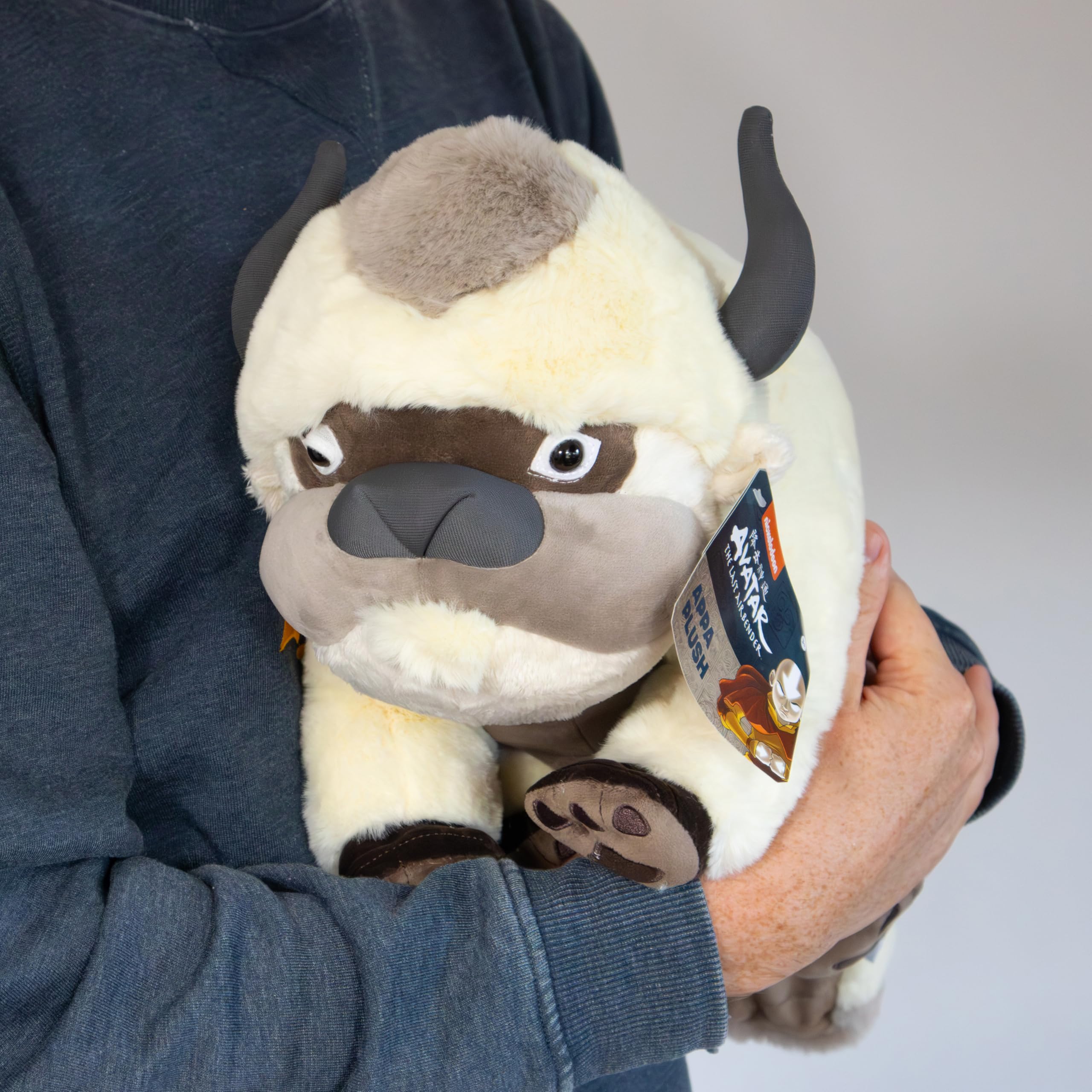 Amazon.co.jp: ノーブルコレクション アバター The Last Airbender