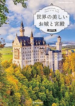 91psdtmEOBL._AC_UF350,