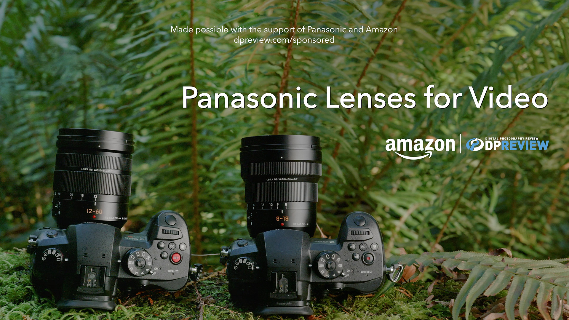 Amazon.com : Panasonic LUMIX Professional 8-18mm Camera Lens, G