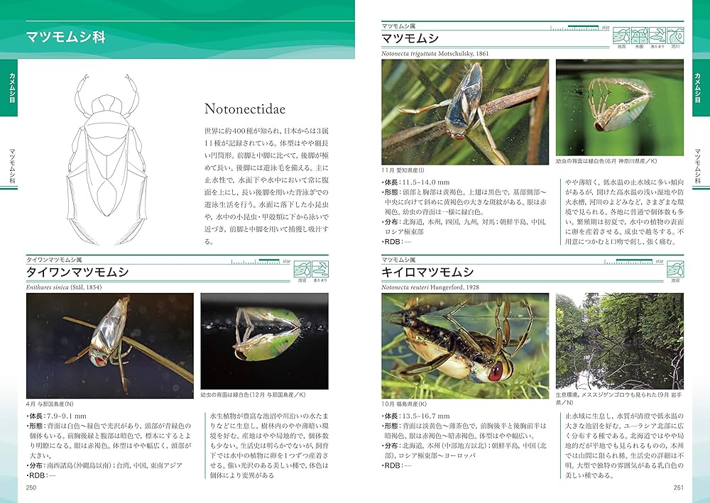 日本の水生昆虫 (ネイチャーガイド) | 中島 淳, 林 成多, 石田 和男