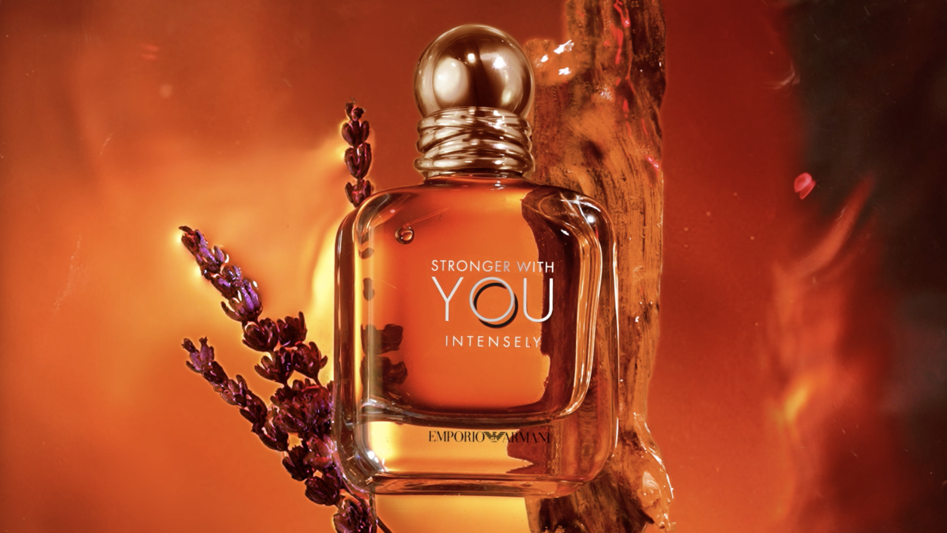 Amazon.com: Armani Beauty – Stronger With You Intensely – Cologne