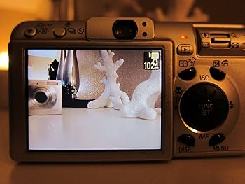 Amazon.com : Canon Powershot S80 8MP Digital Camera with 3.6x Wide