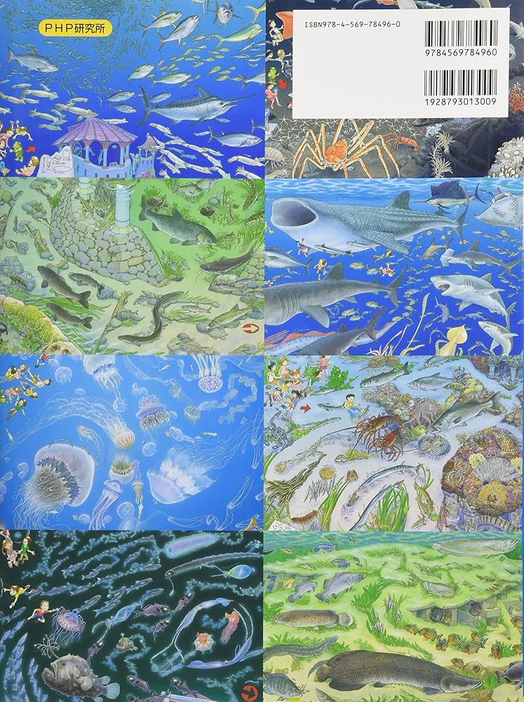 Amazon.co.jp: 水の国の迷路 水族館から川、海、深海の旅へ 【4歳 5歳