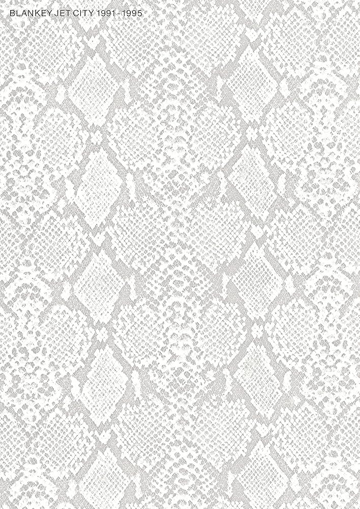 BLANKEY JET CITY/1991-1995 (白盤) (バンド・スコア) | 編集部, 岡田