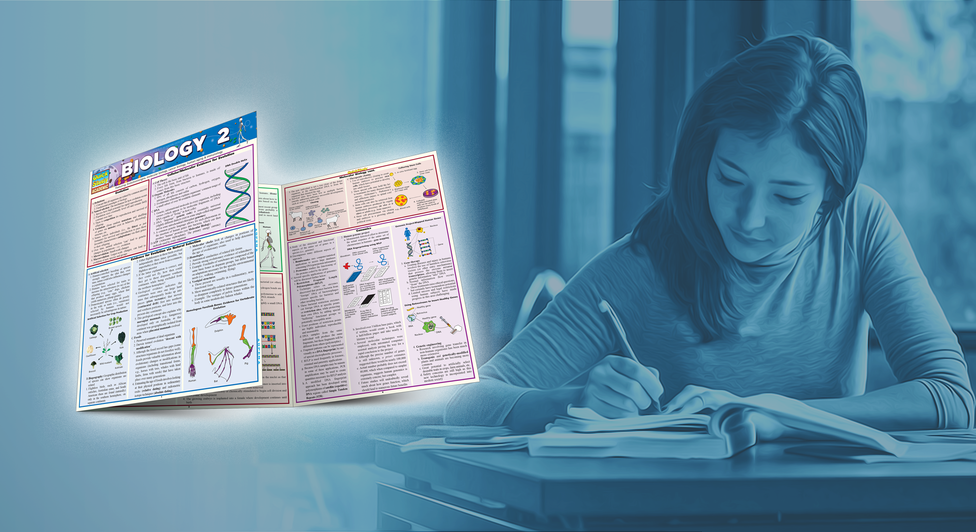 Biology 2 (Quick Study Academic): BarCharts, Inc.: 9781572228269