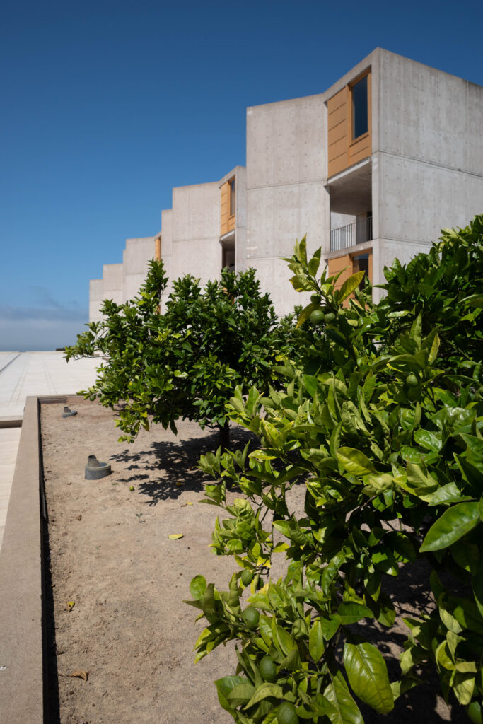 ルイス・カーン設計 「ソーク研究所」 | 建築士事務所民家 - 大工技術