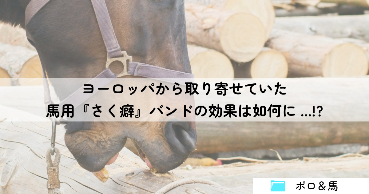 ヨーロッパから取り寄せていた馬用『さく癖』バンドの効果は如何に…!? |