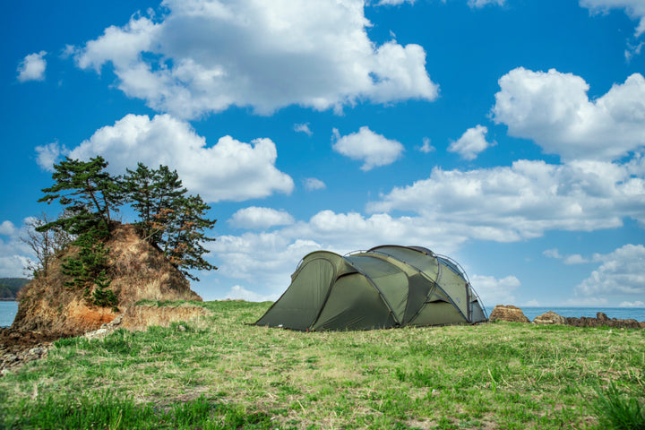 IMG_5669_1_720x.jpg?v=1744091886