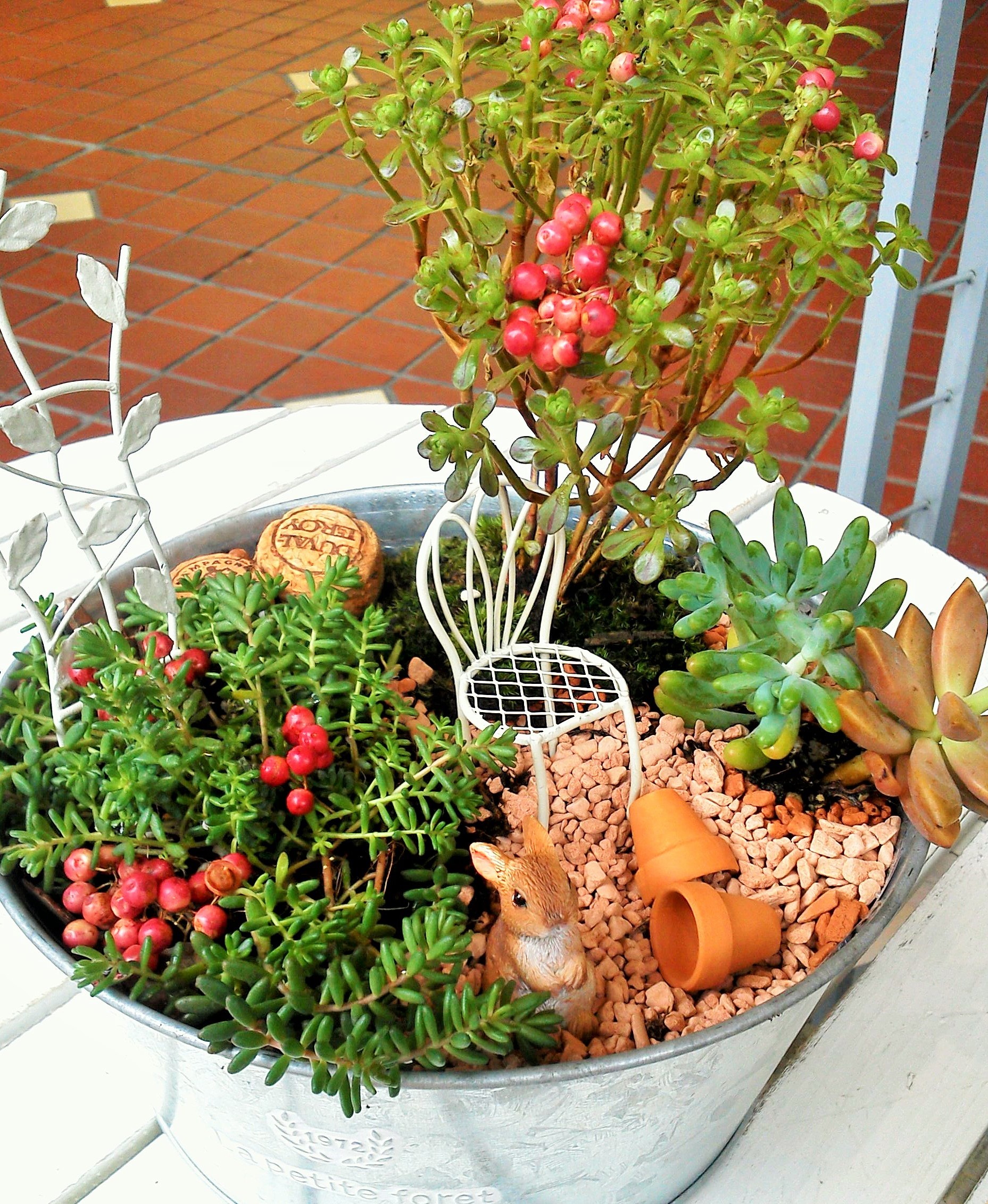 かわいい多肉ちゃんの箱庭づくりin伊勢丹 | みどりデザイン研究所