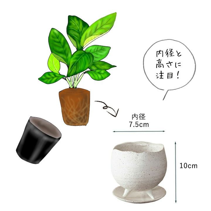 陶器の足つきザラザラ白植木鉢2～2.5号観葉植物の植え替えに