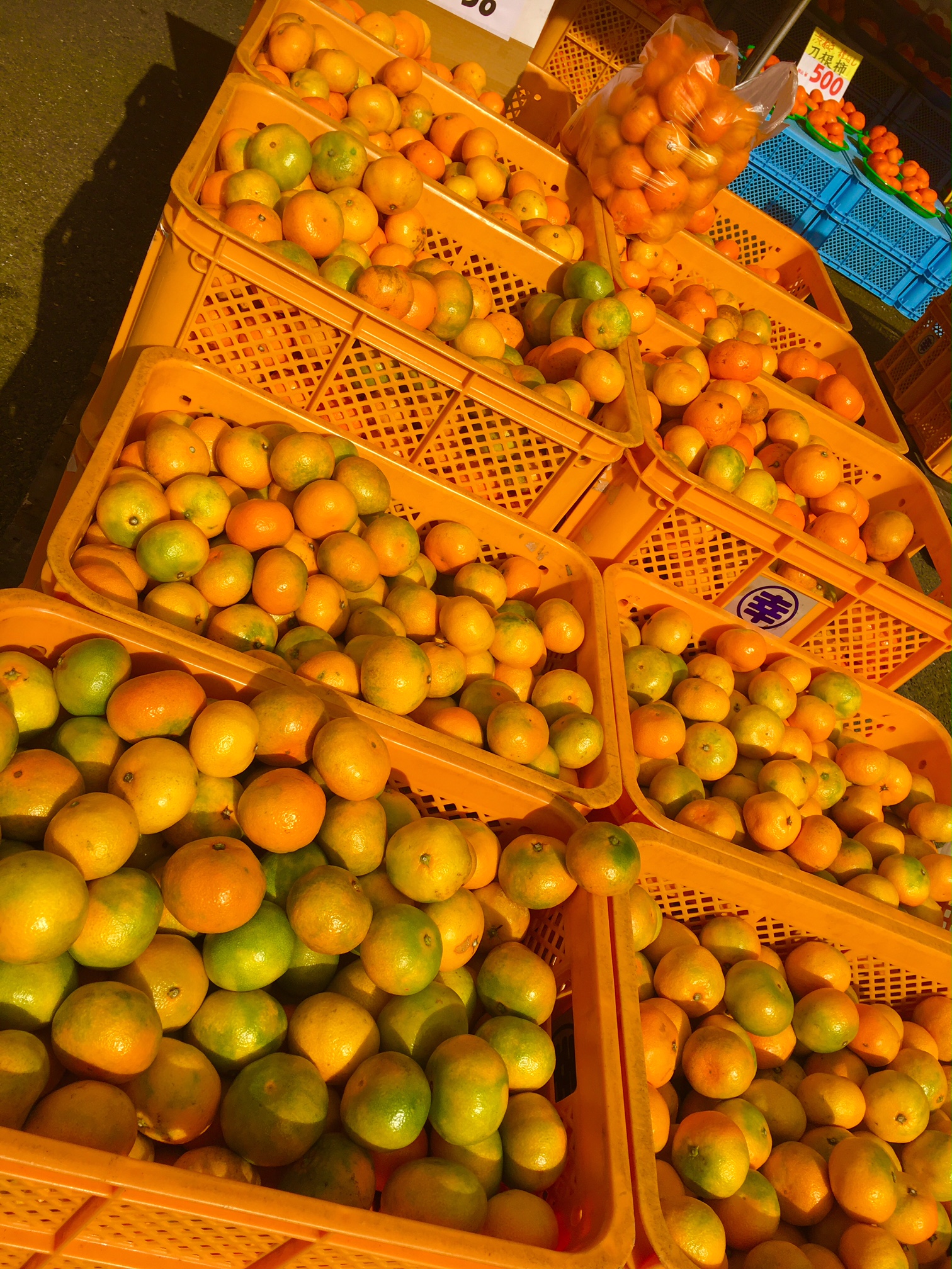 名物～詰め放題～ – 幸青果ブログ