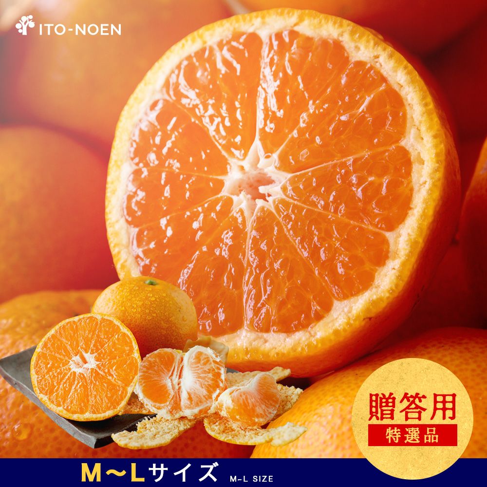 今期最後!?限定50箱】【お届け予定が選べる♪｜お届け予定より発送予定