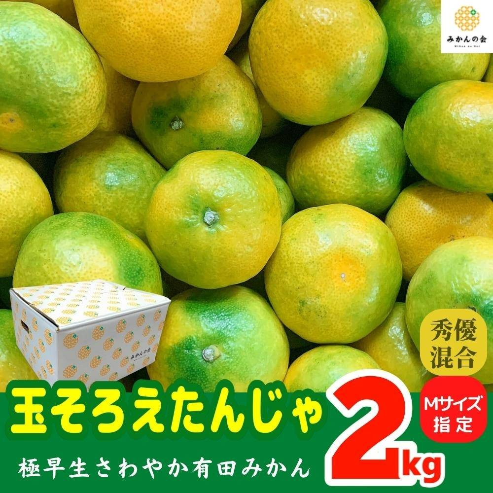 商品紹介】極早生みかん🍊出荷中｜株式会社みかんの会 | 新着情報
