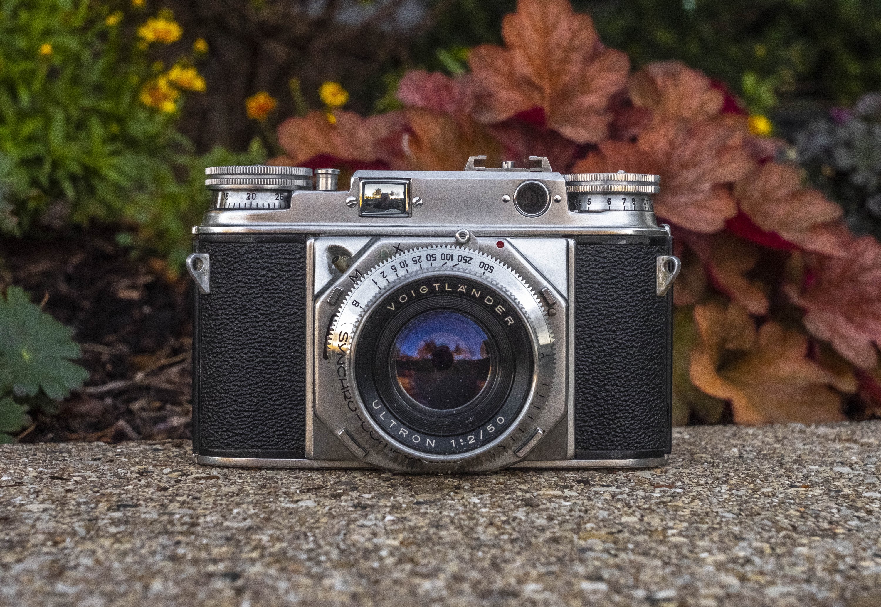 Voigtländer Prominent (1952) – mike eckman dot com