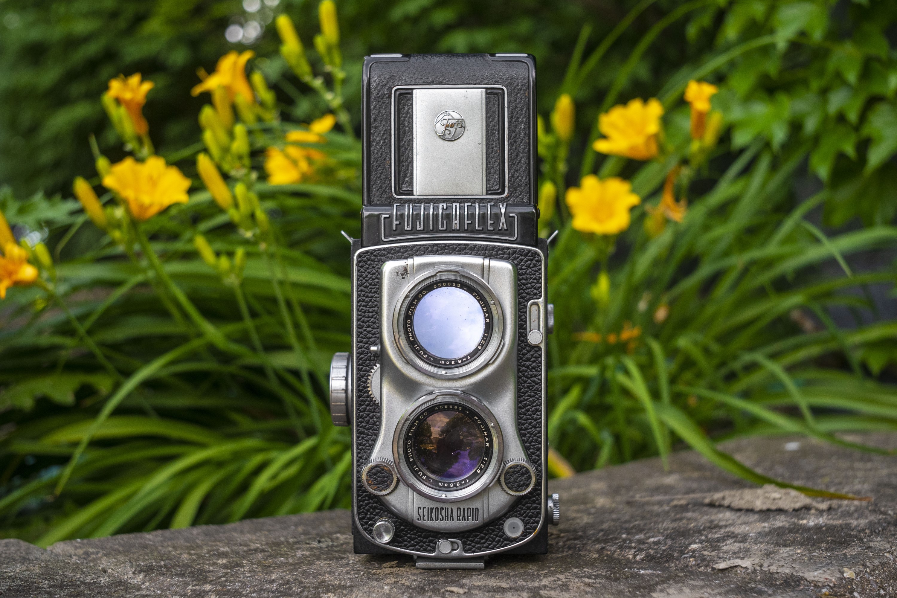 Fujifilm GA645Wi Professional (1997) – mike eckman dot com