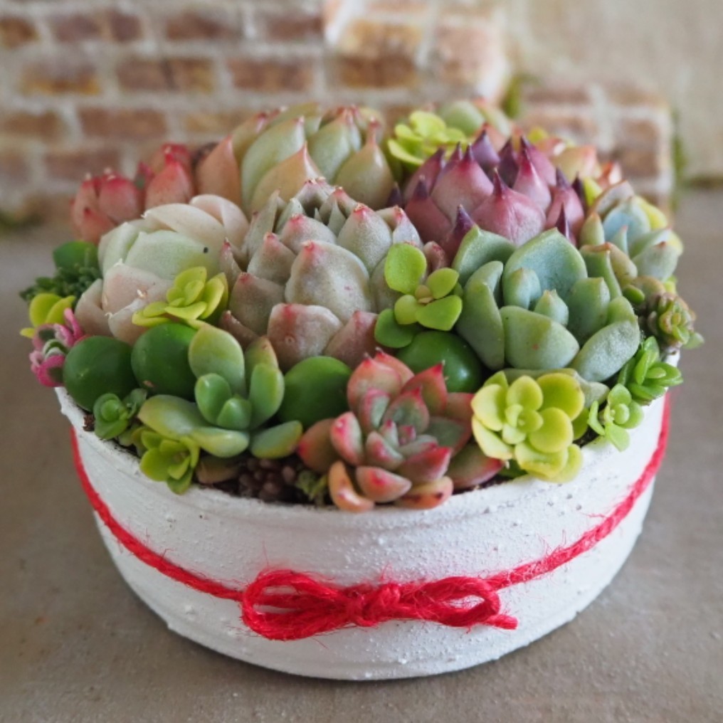 第4種郵便で植物を発送するやり方。 - みきまる日記