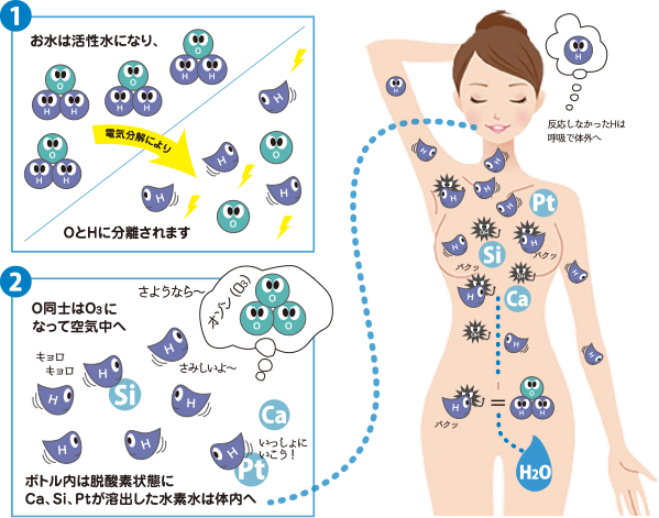トリニティー水素水プラチナ1200 | 株式会社 水・企画