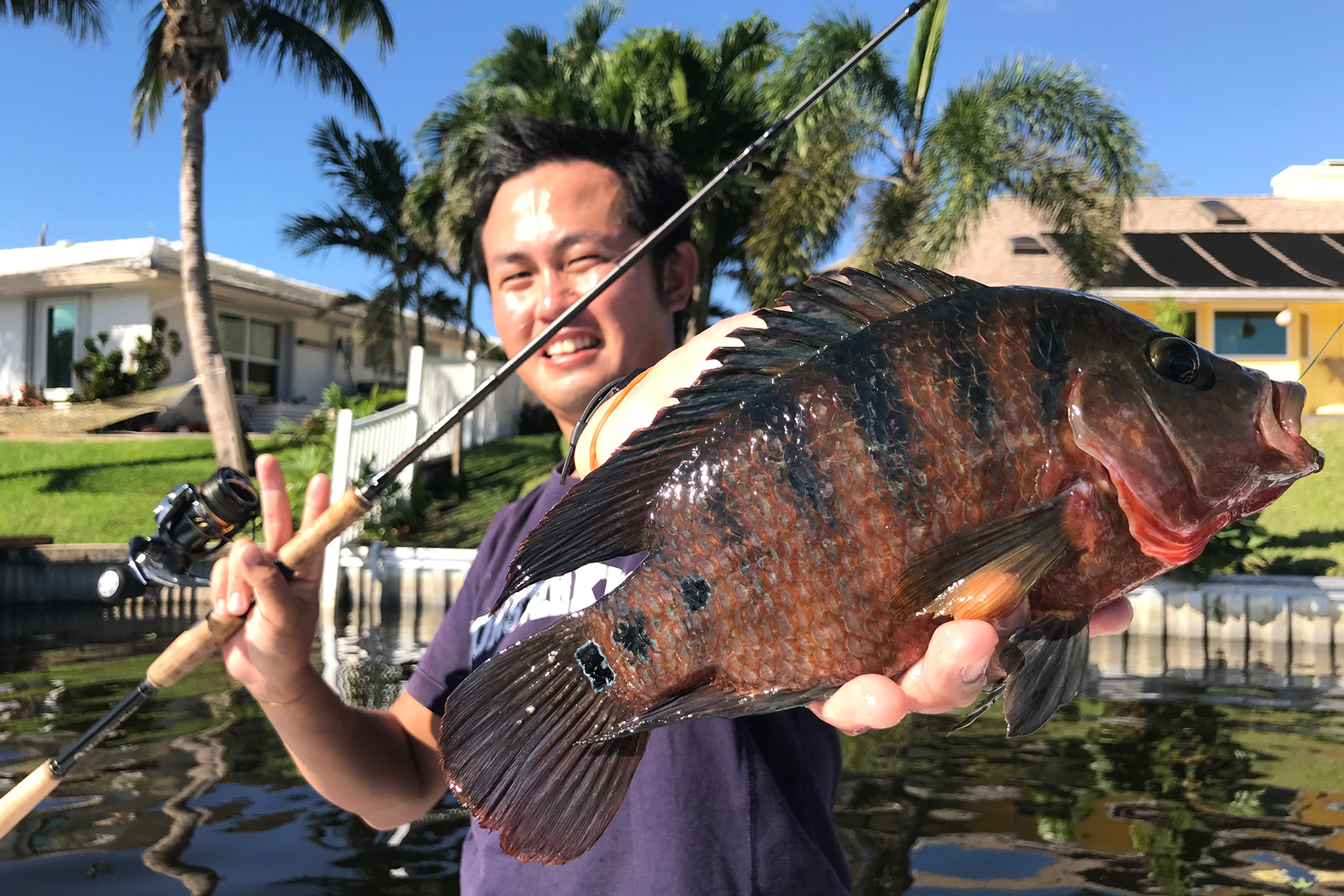 Dear Monster MX-7S - Monster Kiss モンスターキス