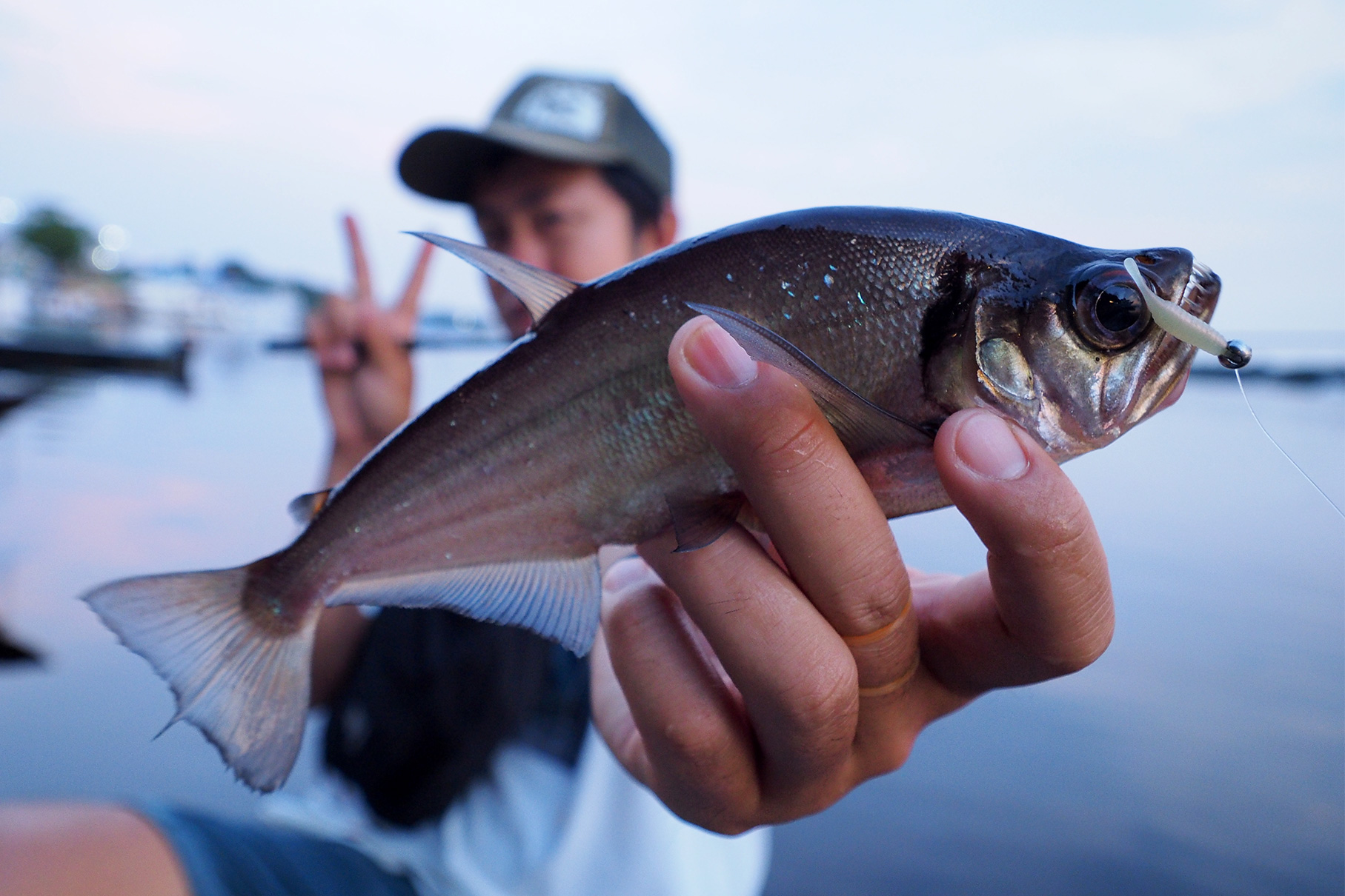 Dear Monster MX-1 - Monster Kiss モンスターキス