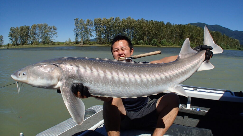 怪魚ハンター”小塚拓矢の釣魚図鑑／「MRX-∞」“怪物”編（IGFA世界記録