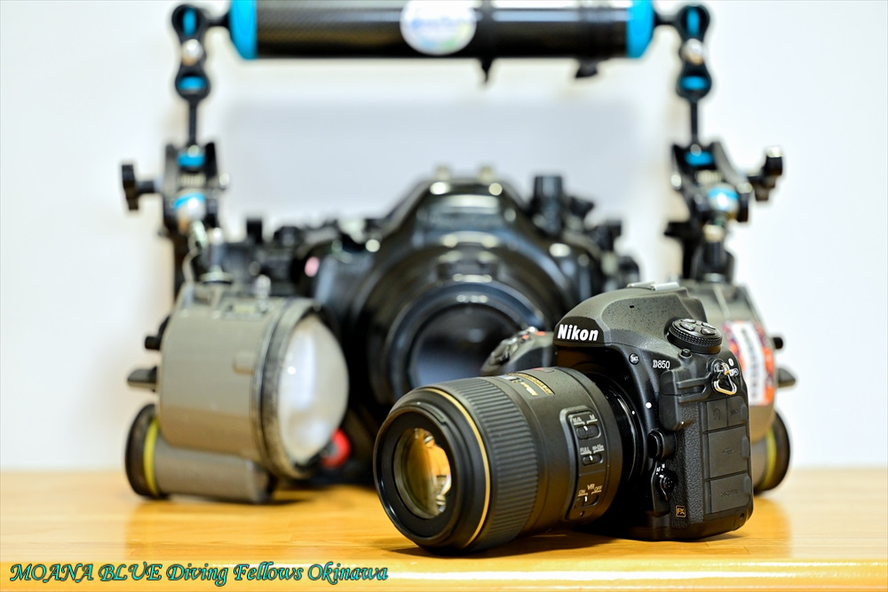 一眼レフカメラレンタルのご紹介♬｜NikonD850+105mmマクロレンズ