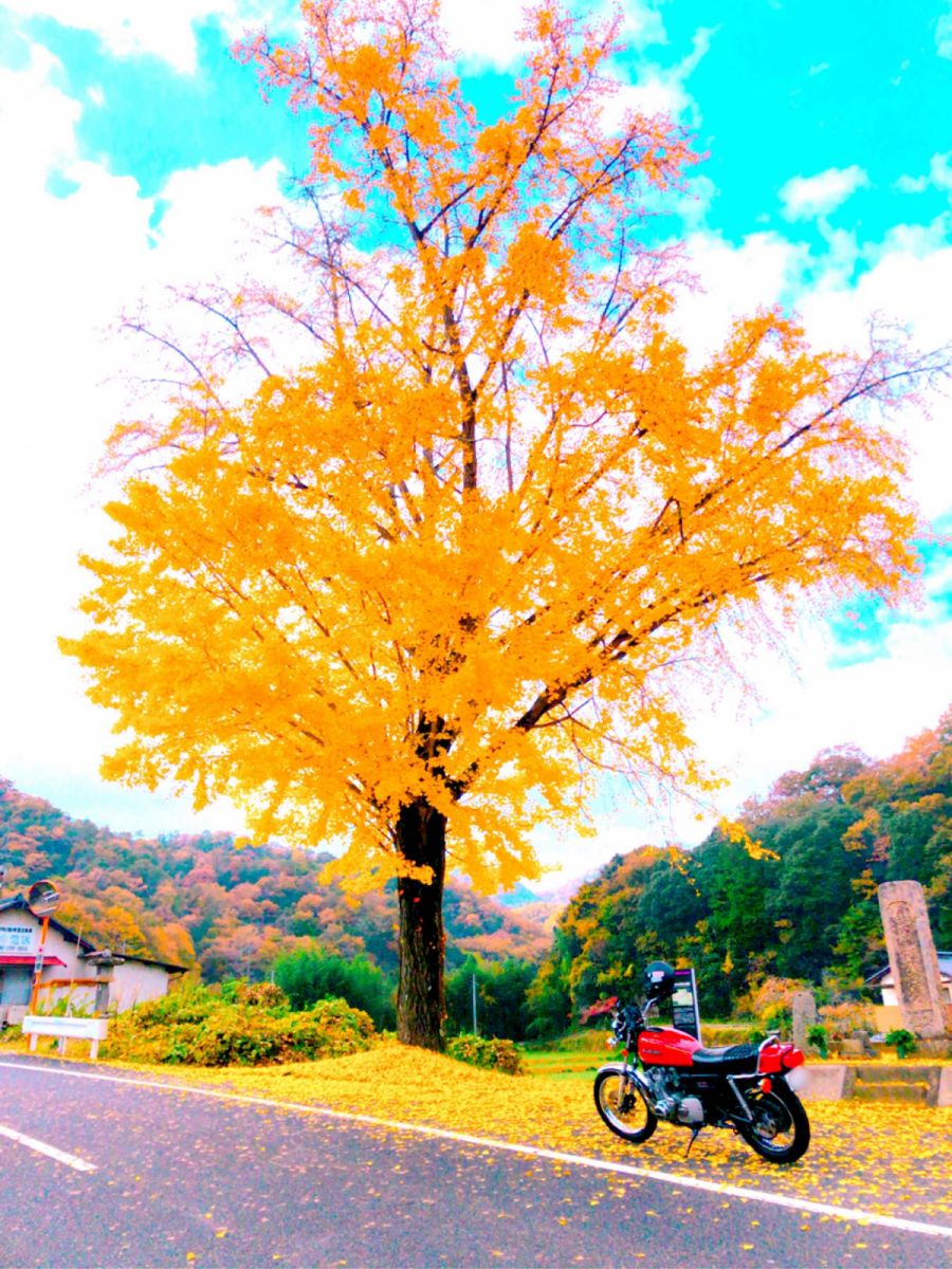 投稿詳細｜MOTOCLE