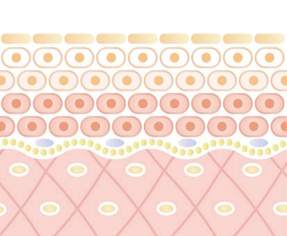 REVI-商品詳細｜美容機器やエステ機器等の卸／業務用・家庭用なら株式