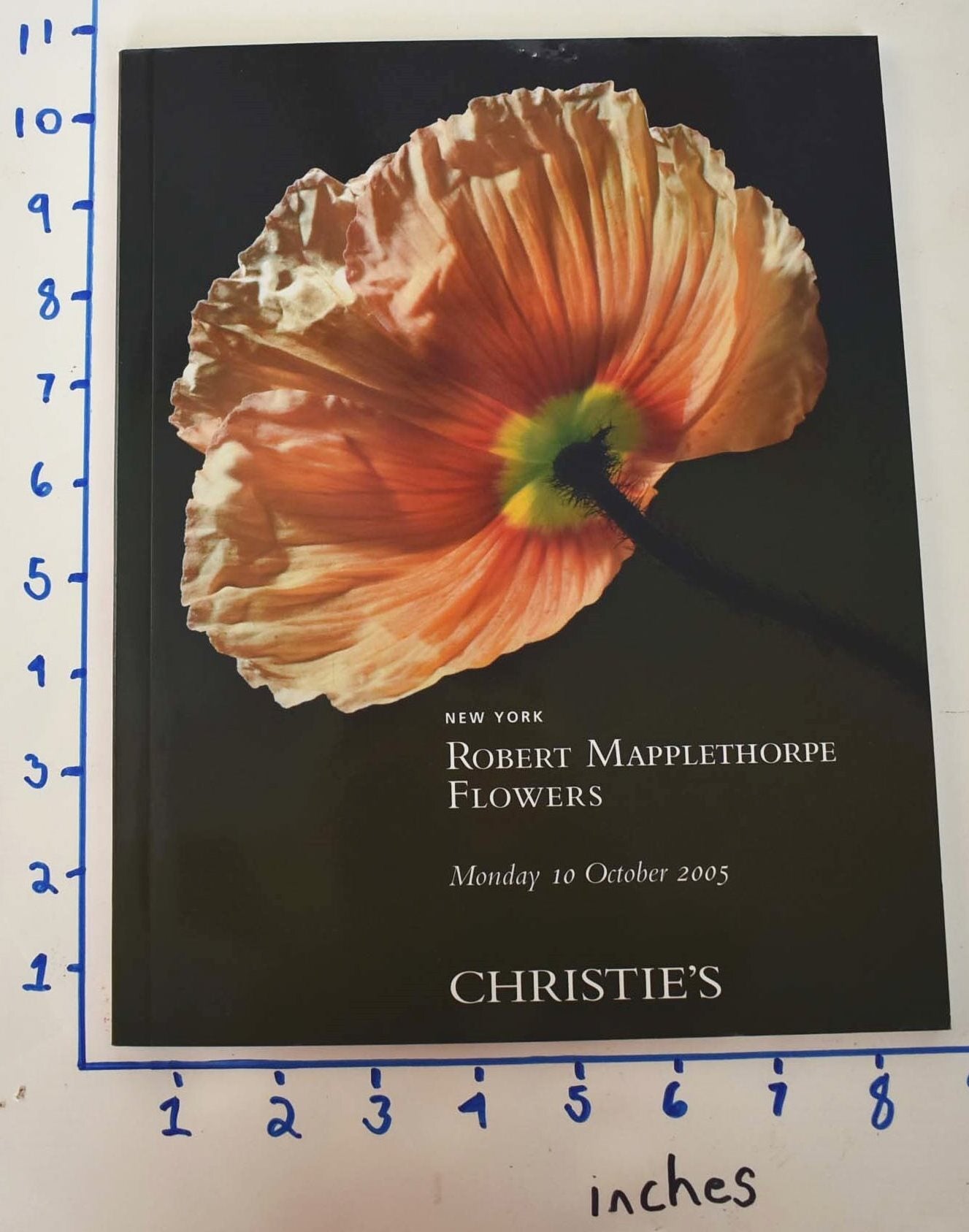 Robert Mapplethorpe: Flowers | Christie's