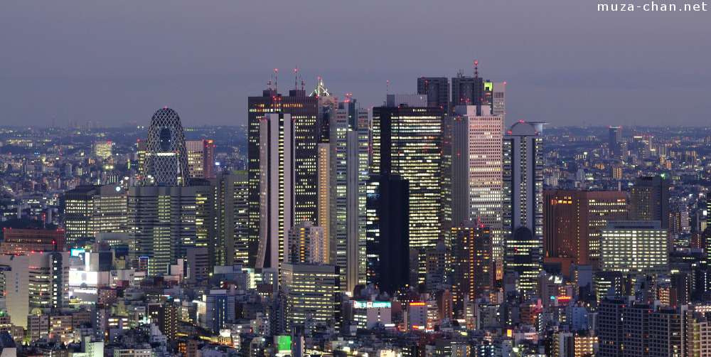 shinjuku-high-rise-night-big.jpg