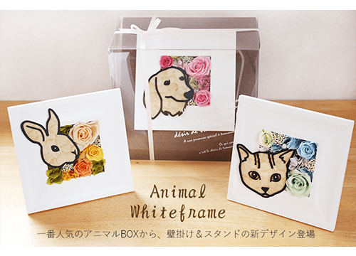 猫の商品一覧 | 動物のお花屋さんマイペリドット