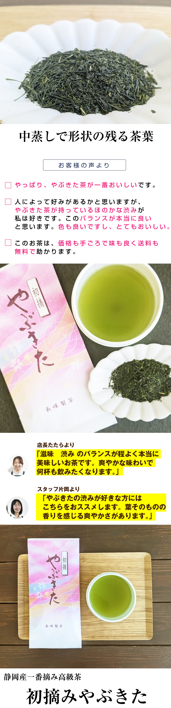 2025年度産 静岡茶 初摘やぶきた100g 初摘み やぶ北茶 お茶 煎茶