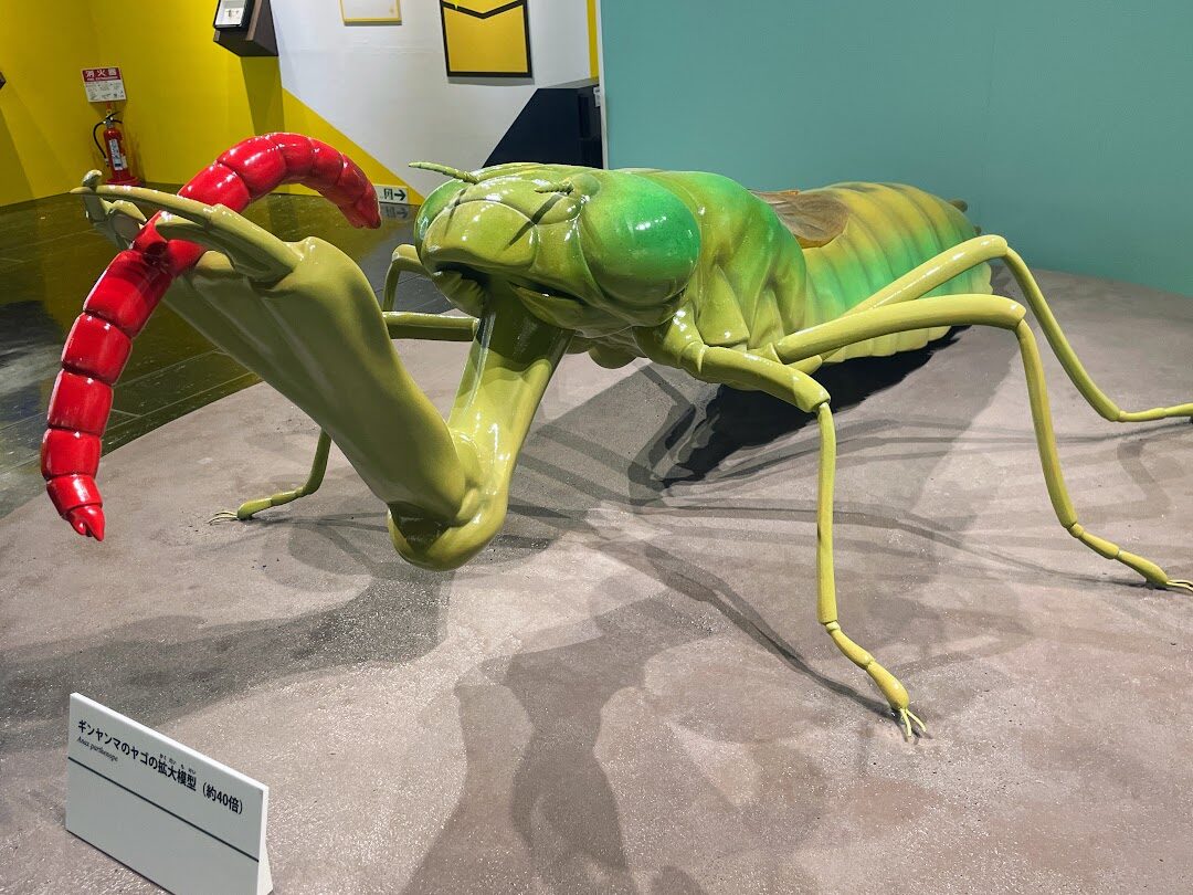 昆虫MANIAC」が名古屋市科学館にて開幕！ クセすご昆虫たちが