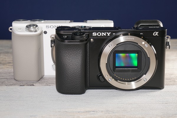 ソニー ミラーレス一眼カメラ α6100 レビュー α6000との徹底比較