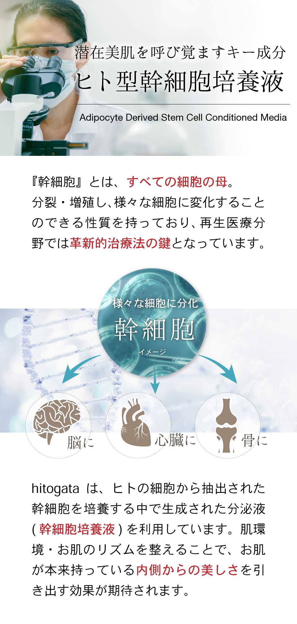 ミムラ hitogata スキンケアセット (MIMURA) hitogata skincare set