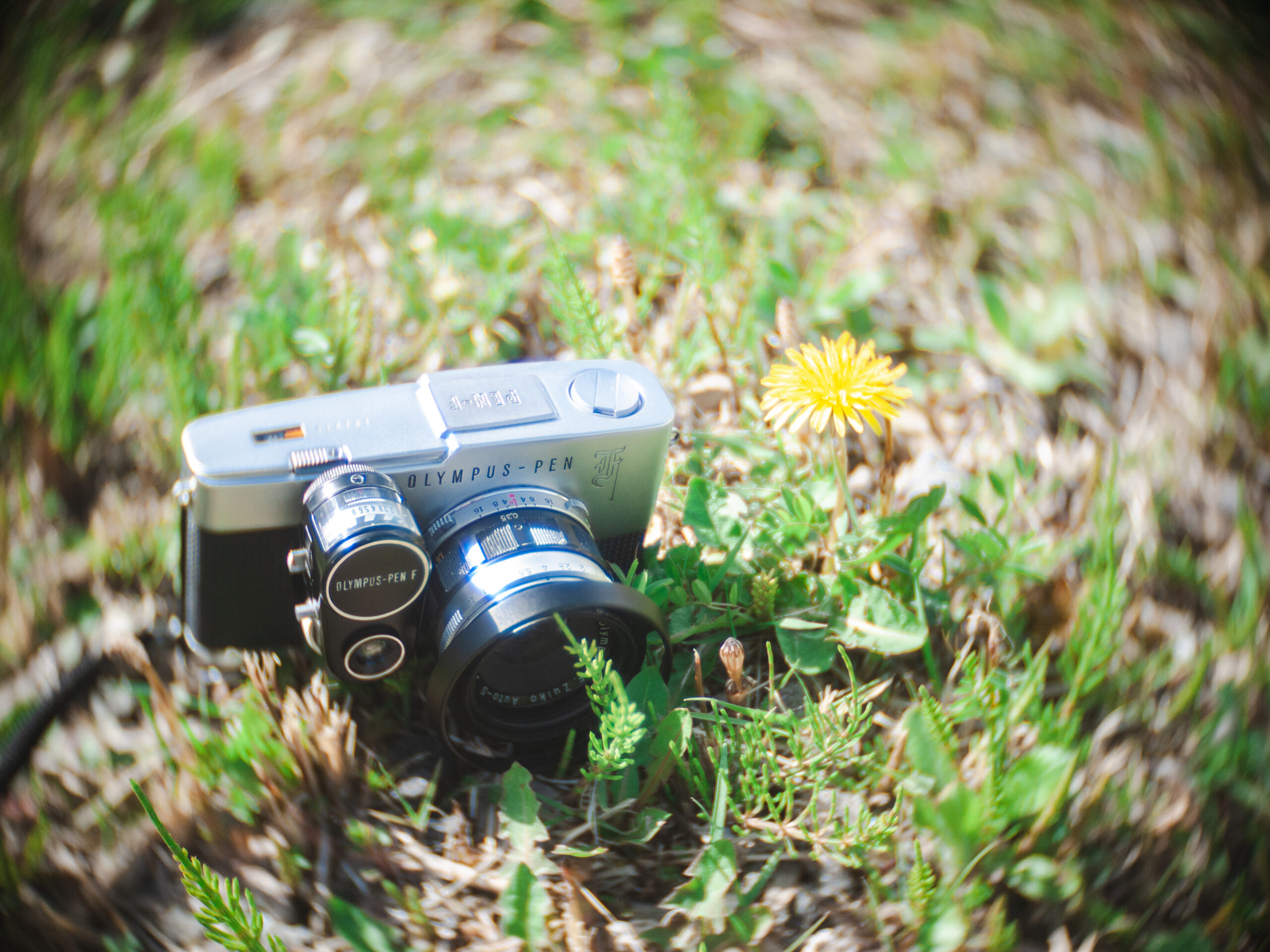 フィルムが貴重な今こそハーフカメラを使いたい（penF） | なりすけWEB