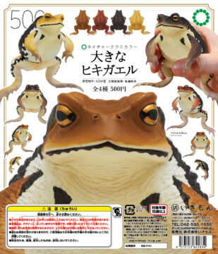 Big_toad_01-309x360.jpg