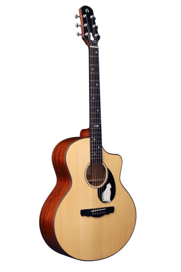 CAT – Natashaギター