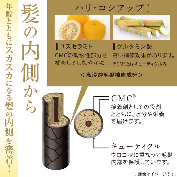 定期購入】ラプトネス プレミアム ヘアシャンプー レフィル | ナガセ