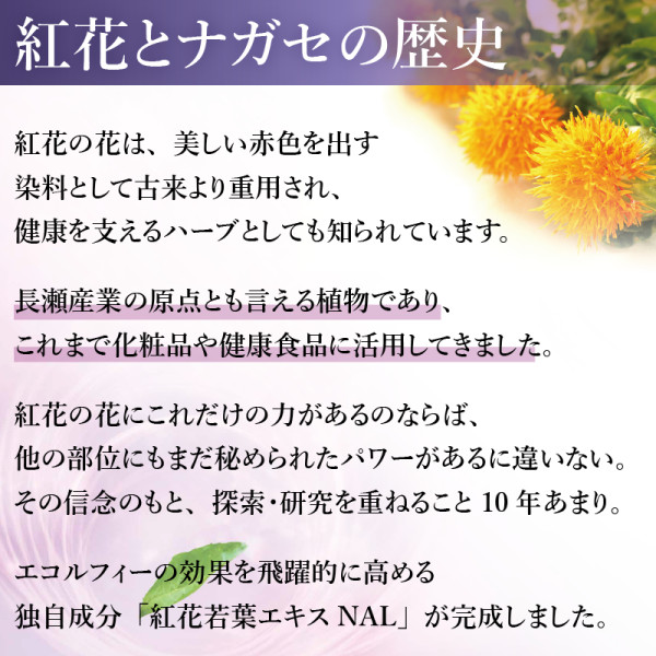 通常購入】エコルフィー アドバンスド ミルク | ナガセビューティケァ