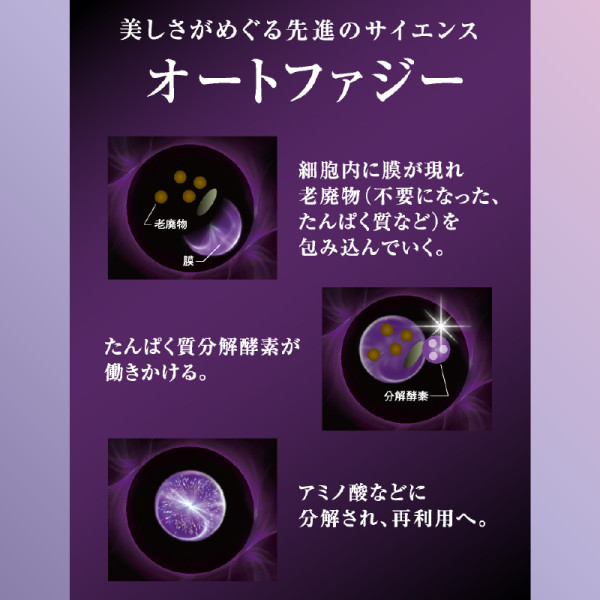 通常購入】エコルフィー アドバンスド シルキーローション | ナガセ