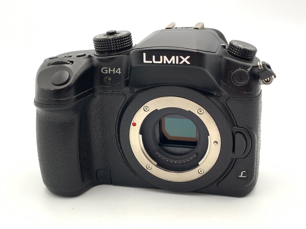 価格.com - パナソニック LUMIX DMC-GX1-K ボディ [エスプリブラック