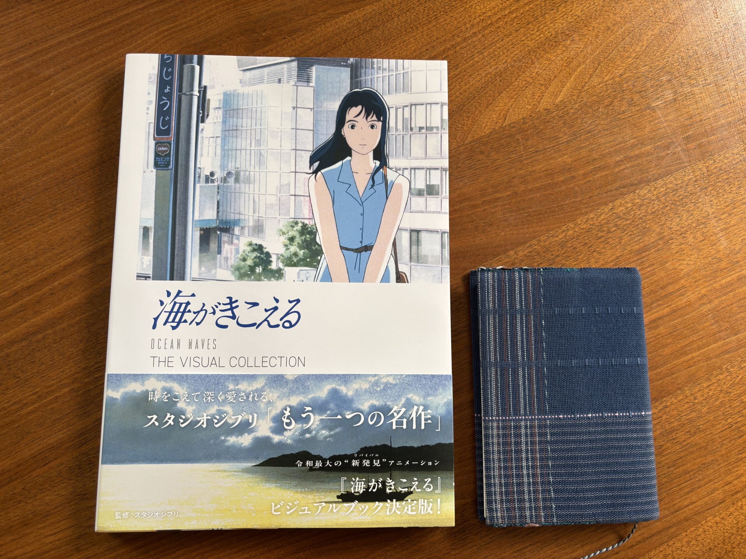 海がきこえるリバイバル】アニメとドラマと原作と。 | 眠りねこの本
