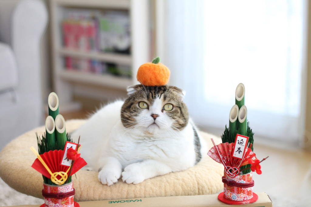 絵画 。壁掛け絵☆【猫ちゃんたちの幸せなクリスマスパーティー】05