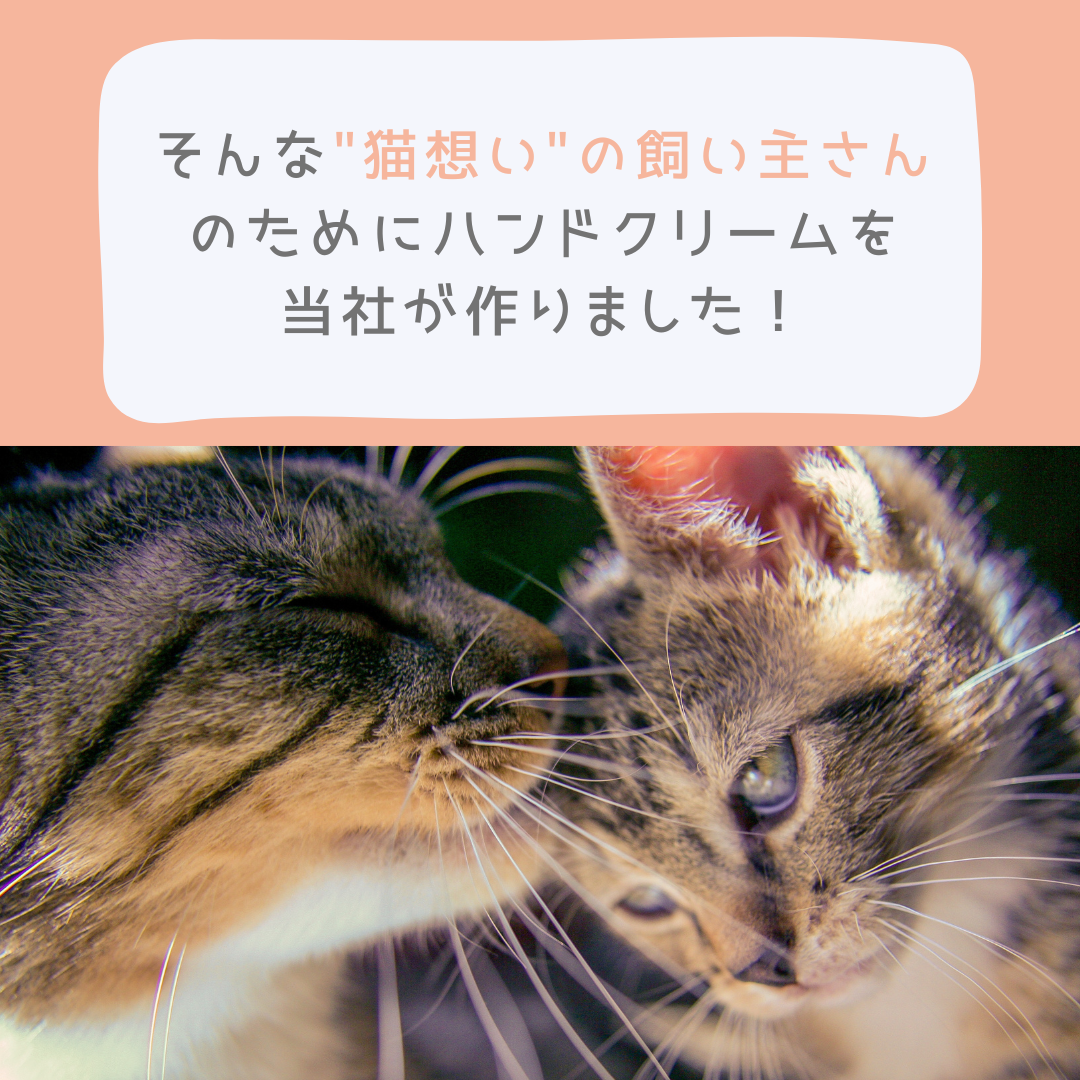 猫の飼い主様向けハンドクリーム 30g【2本購入で送料無料】 – ねこすきん